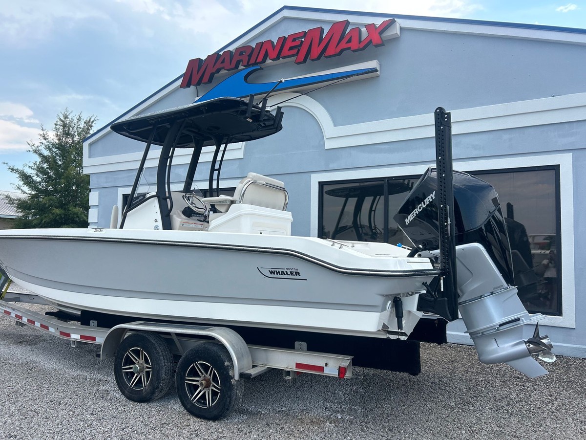 2027 Boston Whaler 250 Dauntless 4