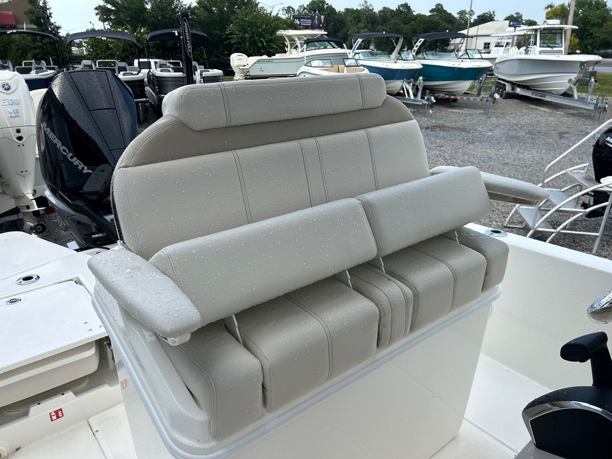2027 Boston Whaler 250 Dauntless 15