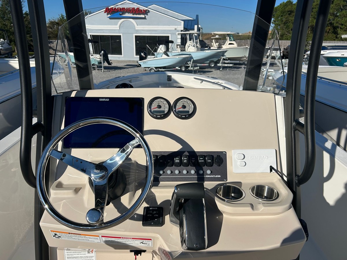 2027 Boston Whaler 250 Dauntless 16
