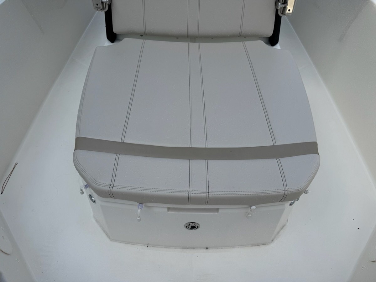 2027 Boston Whaler 250 Dauntless 21