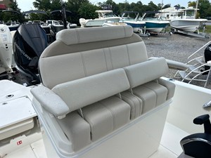 2027 Boston Whaler 250 Dauntless 15