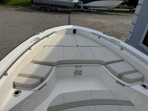 2027 Boston Whaler 250 Dauntless 20