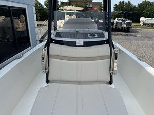 2027 Boston Whaler 250 Dauntless 22