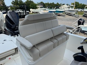 2027 Boston Whaler 250 Dauntless 24