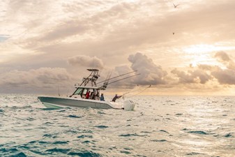 Boston Whaler 360 Outrage 145 2026 Boston Whaler 360 Outrage 146