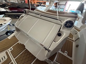 Sea Ray 350 SLX 17 2022 Sea Ray 350 SLX 18
