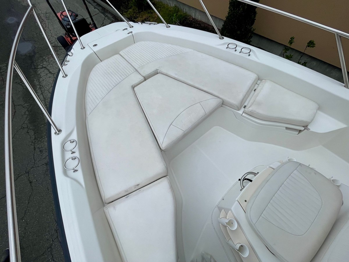 2013 Boston Whaler 230 DAUNTLESS 15