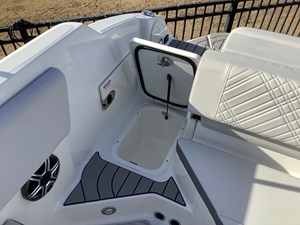 2026 Sea Ray SDX 230 10