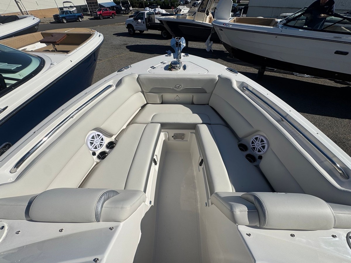 2026 Sailfish 245 DC 29
