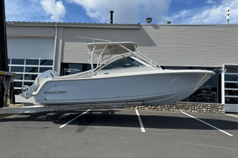 Sailfish 245 DC 0 2026 Sailfish 245 DC 1