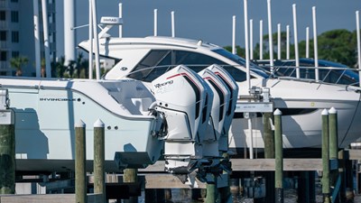 Invincible 46 CATAMARAN 5 2022 Invincible 46 CATAMARAN 6