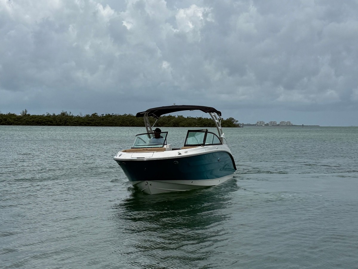 2026 Sea Ray SDX 250 Outboard 3