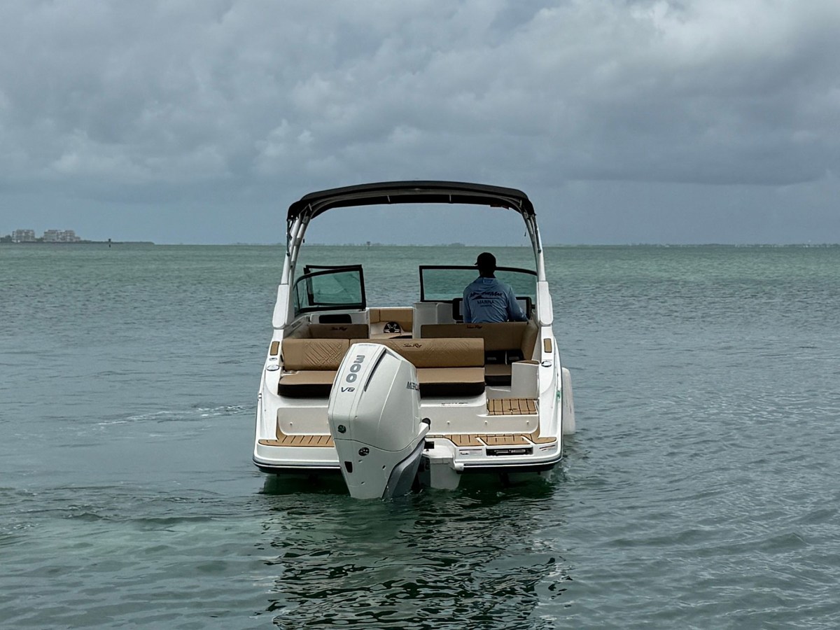 2026 Sea Ray SDX 250 Outboard 4