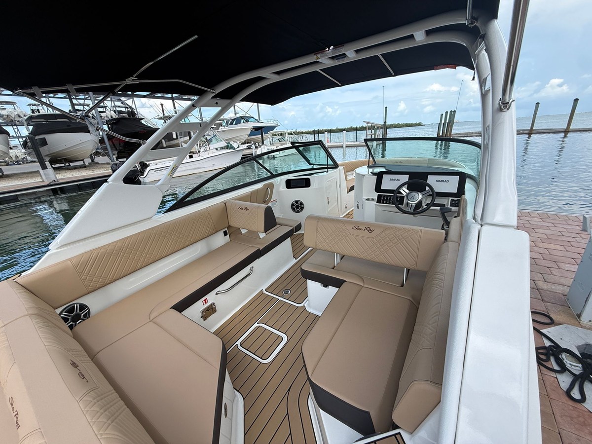 2026 Sea Ray SDX 250 Outboard 5