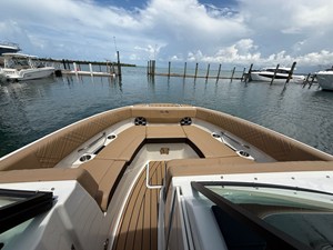2026 Sea Ray SDX 250 Outboard 9