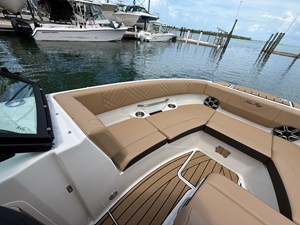 2026 Sea Ray SDX 250 Outboard 10