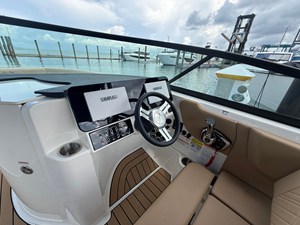 2026 Sea Ray SDX 250 Outboard 17