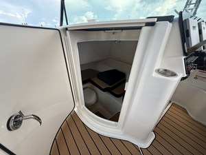 2026 Sea Ray SDX 250 Outboard 21