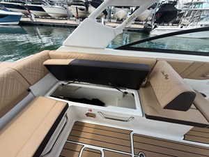 2026 Sea Ray SDX 250 Outboard 24