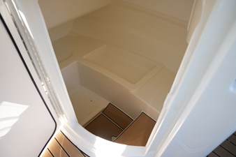2026 Sea Ray SDX 230 24
