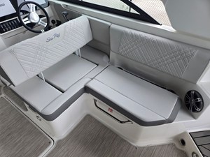 2026 Sea Ray SDX 250 Outboard 9