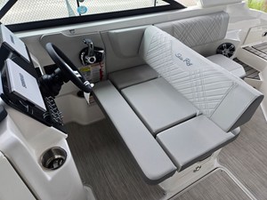 2026 Sea Ray SDX 250 Outboard 11