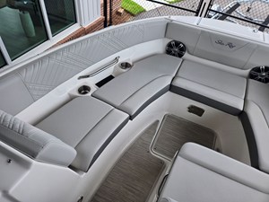 2026 Sea Ray SDX 250 Outboard 17