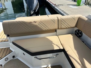 2026 Sea Ray SDX 250 Outboard 14
