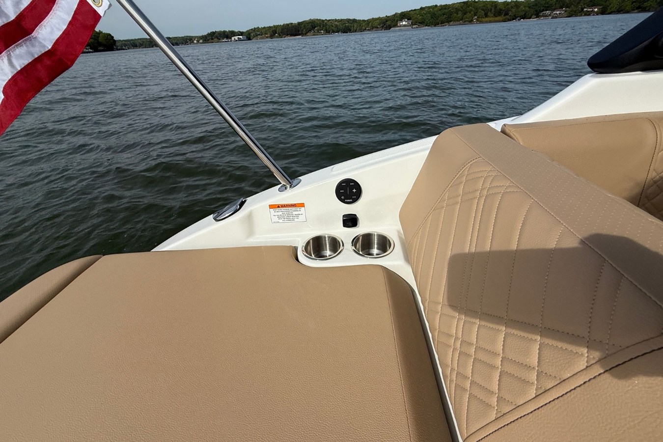 2026 Sea Ray SDX 250 9