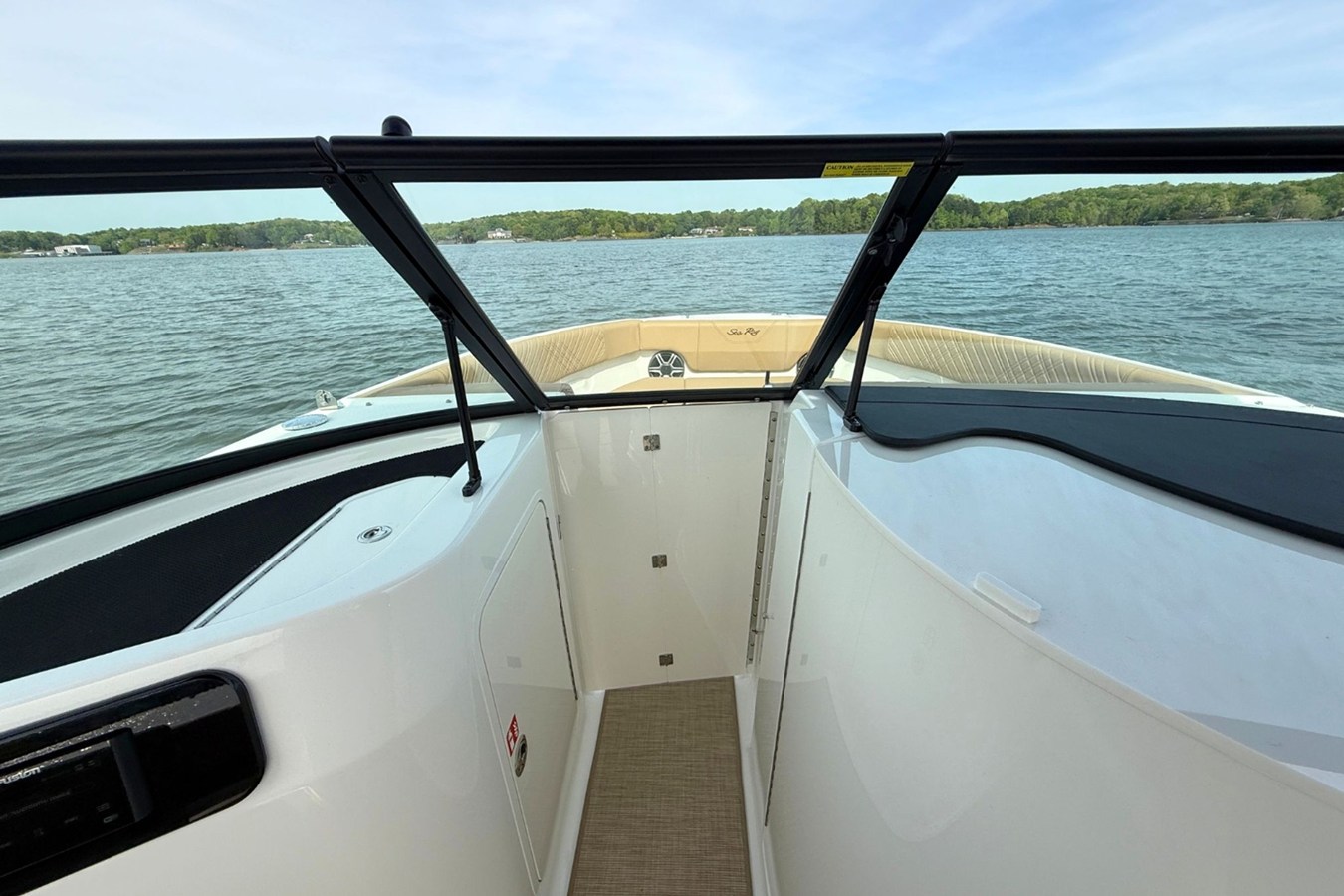 2026 Sea Ray SDX 250 24