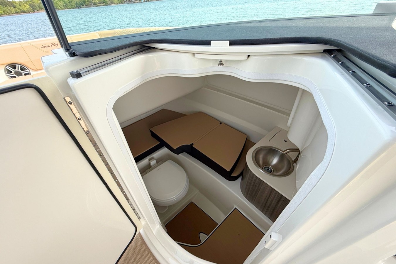 2026 Sea Ray SDX 250 26