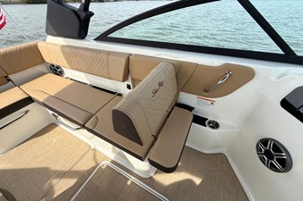 2026 Sea Ray SDX 250 15