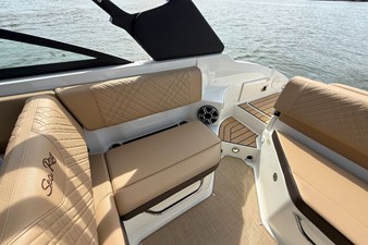 2026 Sea Ray SDX 250 18