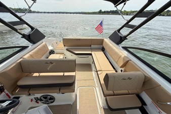 2026 Sea Ray SDX 250 23