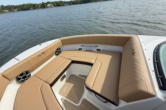 2026 Sea Ray SDX 250 29
