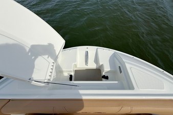2026 Sea Ray SDX 250 31