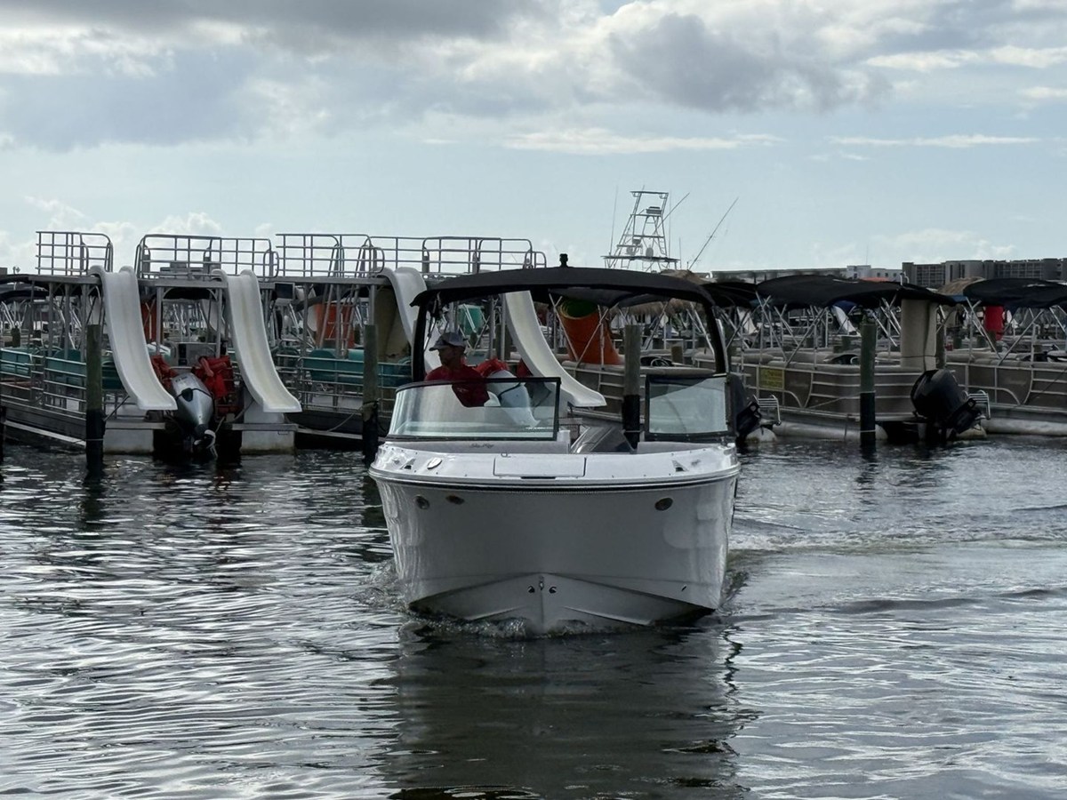 2026 Sea Ray SDX 250 Outboard 8