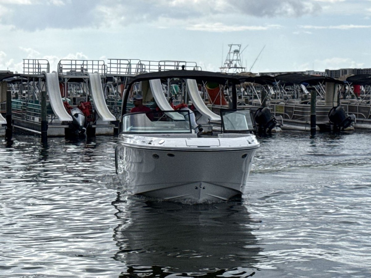 2026 Sea Ray SDX 250 Outboard 9