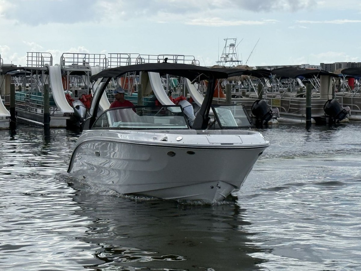 2026 Sea Ray SDX 250 Outboard 10