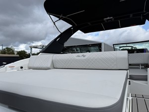 2026 Sea Ray SDX 250 Outboard 18