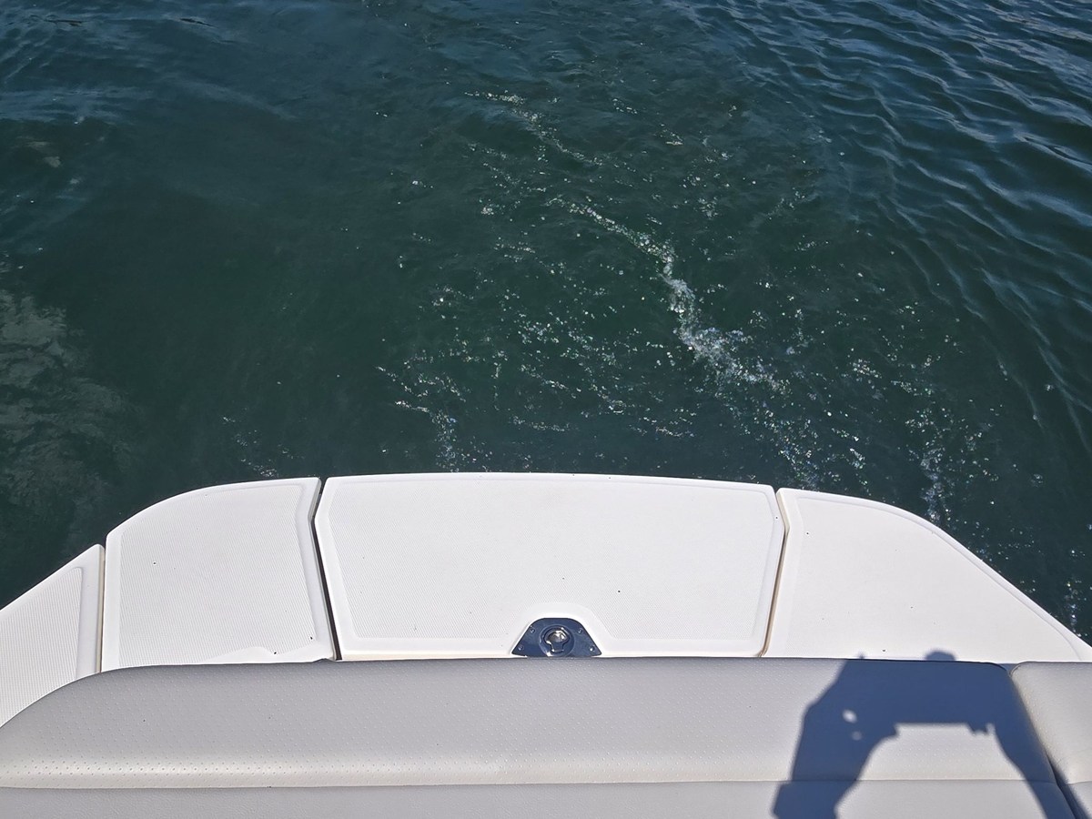2026 Sea Ray SDX 250 8