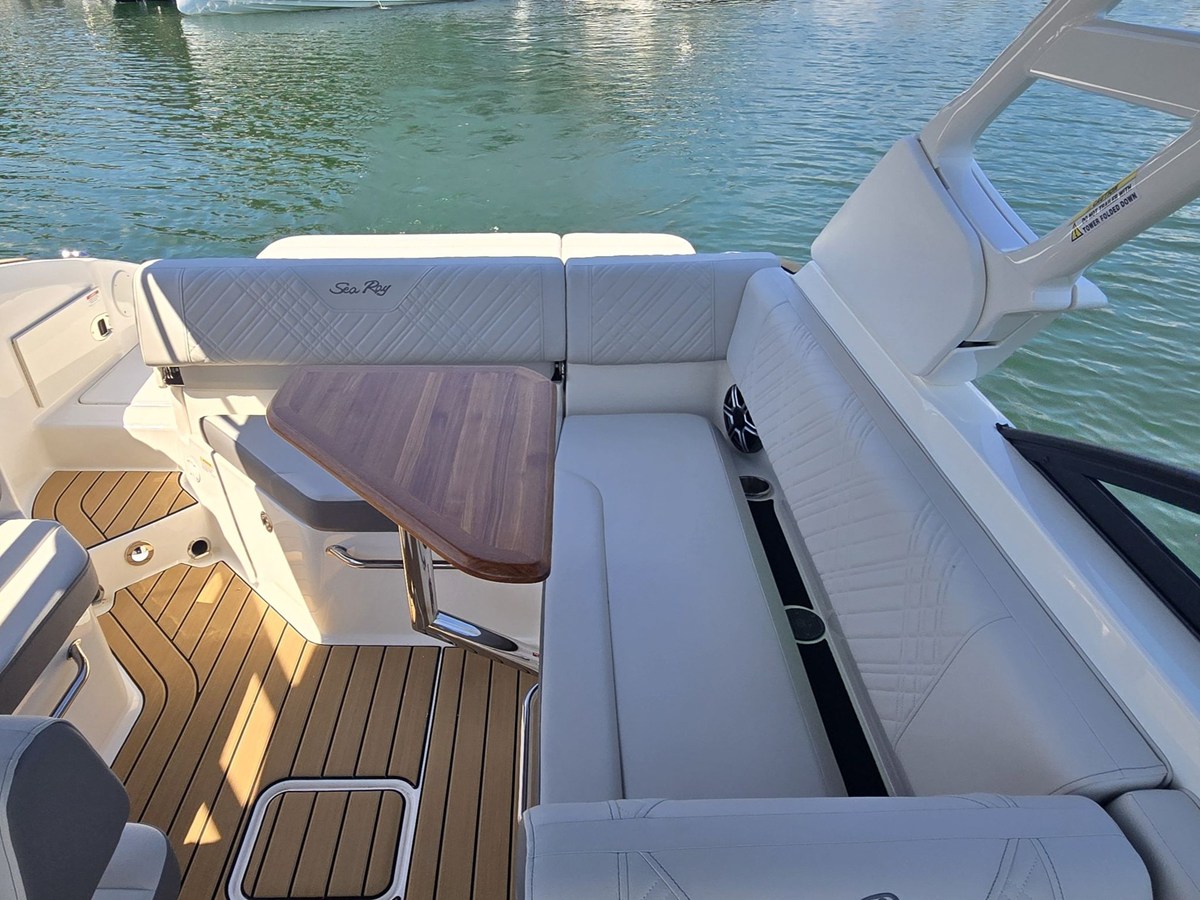 2026 Sea Ray SDX 250 11