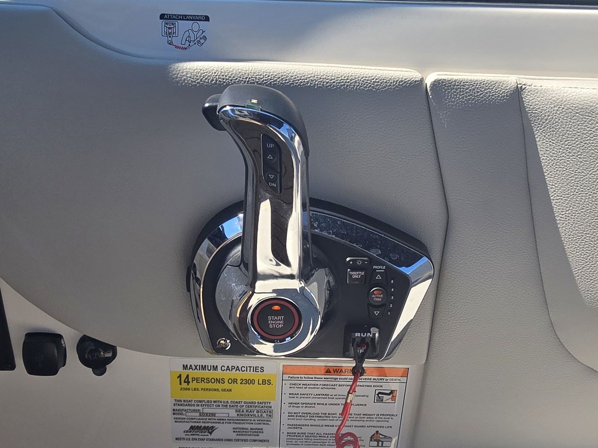 2026 Sea Ray SDX 250 19