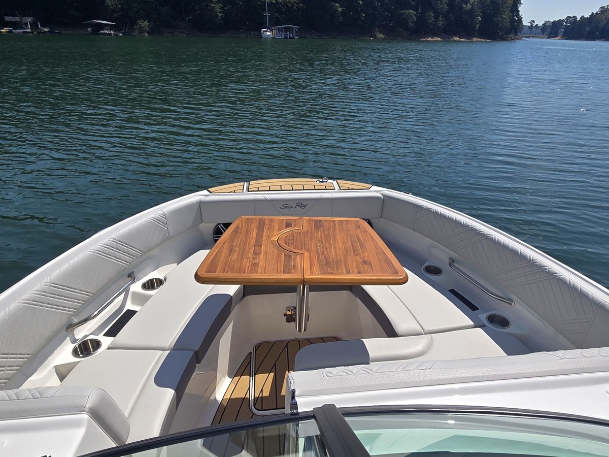 2026 Sea Ray SDX 250 21