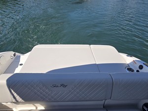2026 Sea Ray SDX 250 9