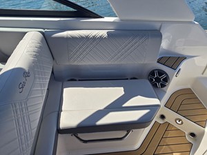 2026 Sea Ray SDX 250 10