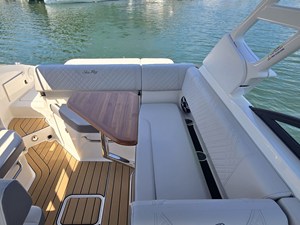 2026 Sea Ray SDX 250 11