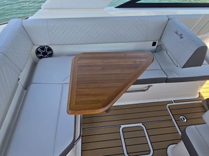 2026 Sea Ray SDX 250 12