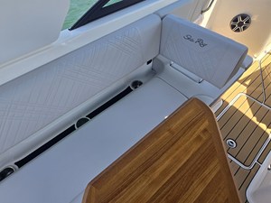 2026 Sea Ray SDX 250 13