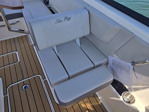 2026 Sea Ray SDX 250 14